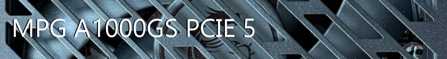 #MPG A1000GS PCIE5