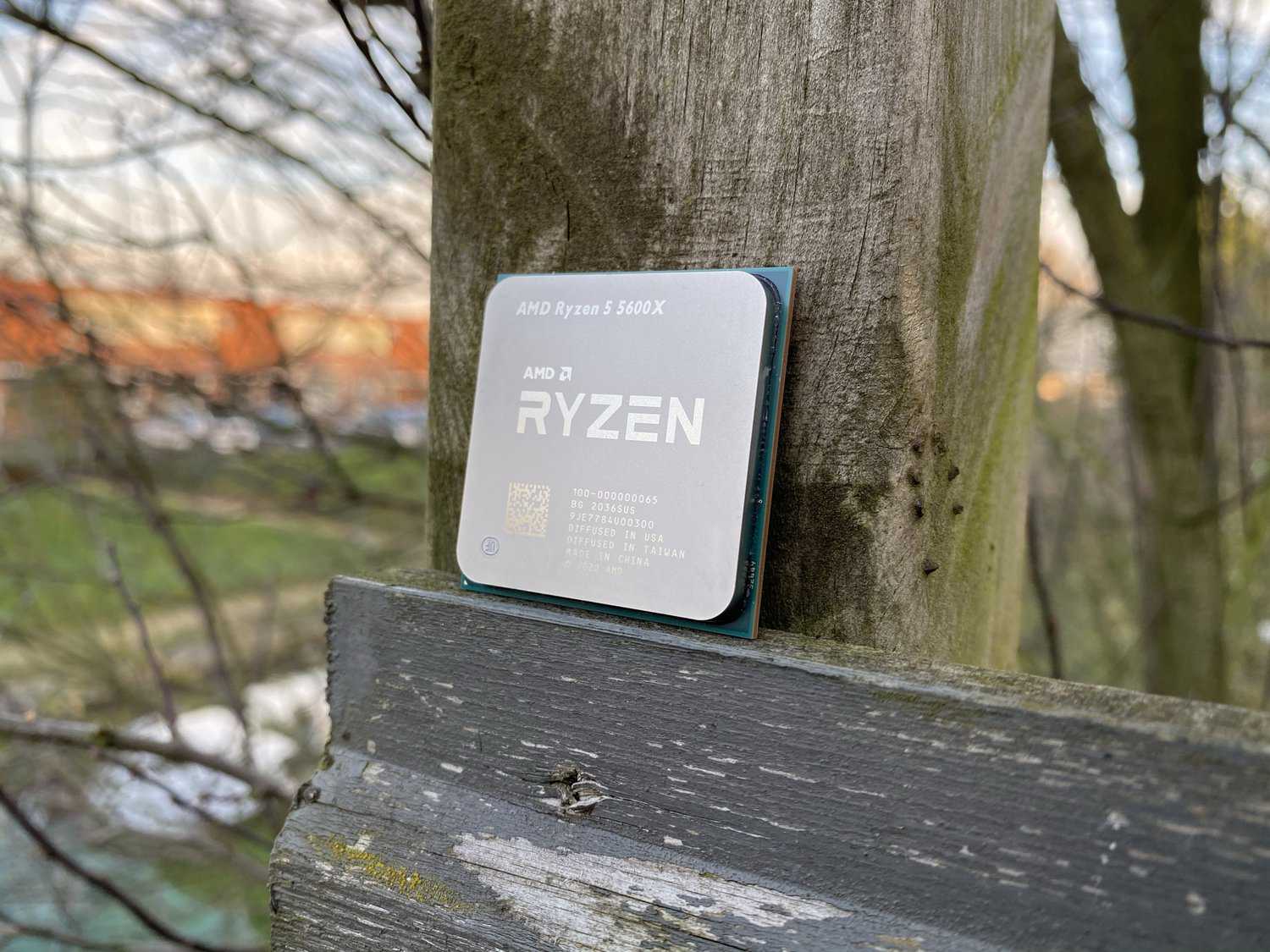 AMD Ryzen 5 5600X